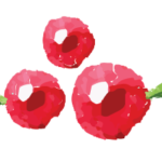 Ảnh đầu tiên