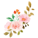 Ảnh đầu tiên