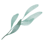 Ảnh đầu tiên